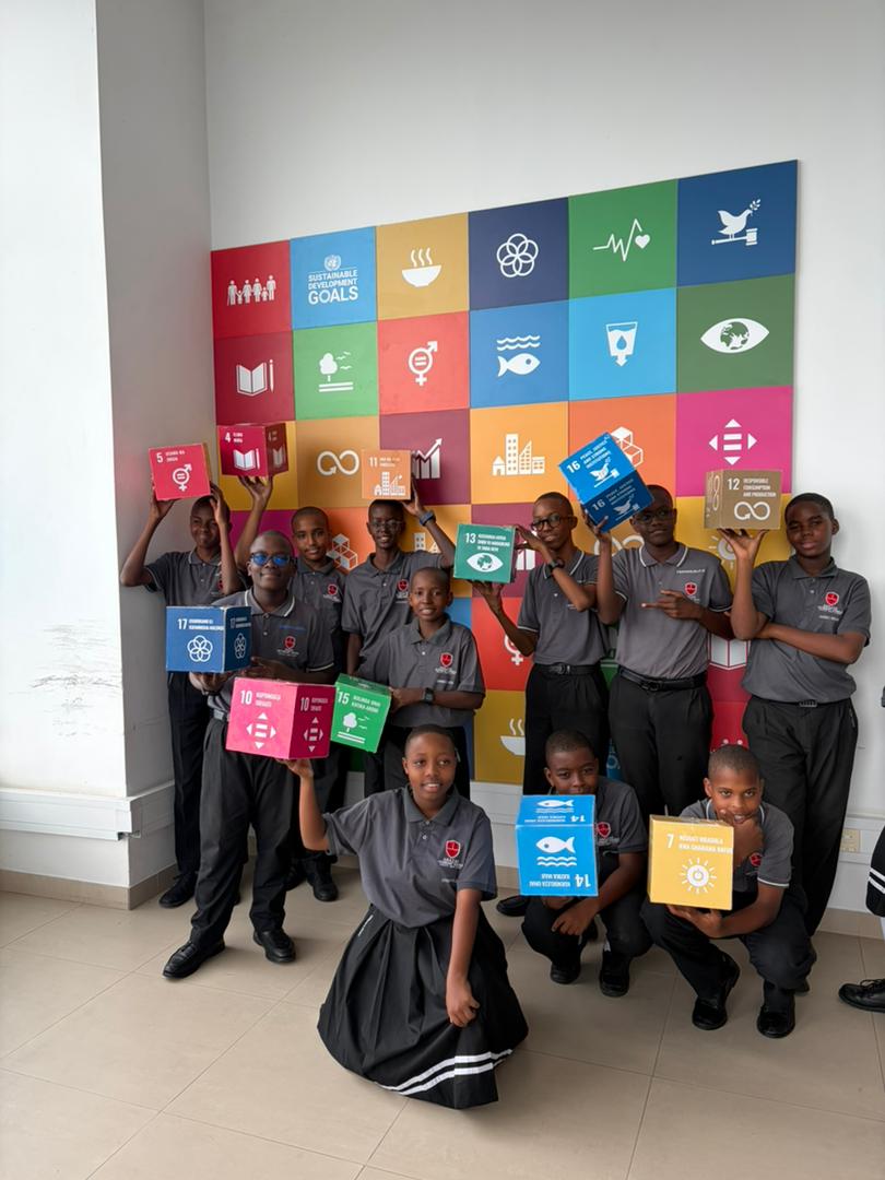 Civic engagement & the SDGs